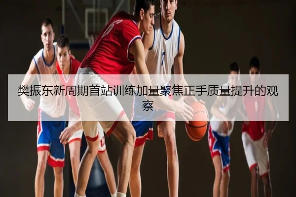 樊振东新周期首站训练加量聚焦正手质量提升的观察