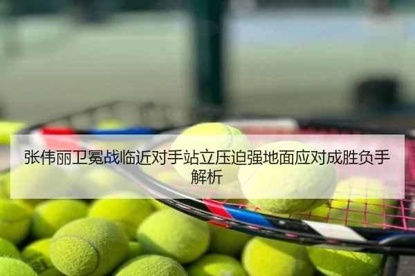 张伟丽卫冕战临近对手站立压迫强地面应对成胜负手解析