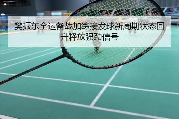 樊振东全运备战加练接发球新周期状态回升释放强劲信号