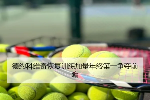 德约科维奇恢复训练加量年终第一争夺前瞻
