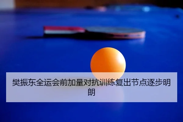 樊振东全运会前加量对抗训练复出节点逐步明朗