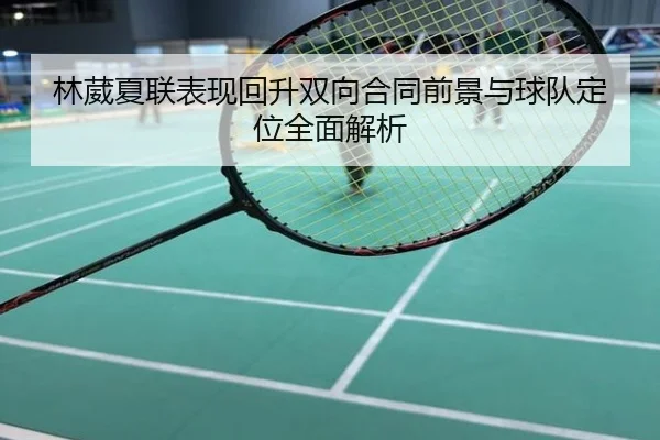 林葳夏联表现回升双向合同前景与球队定位全面解析